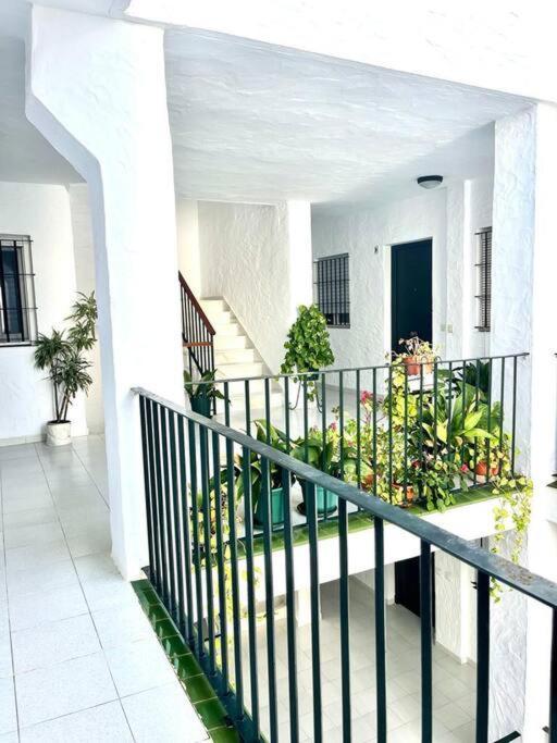 Apartment El Gato Gris Conil De La Frontera